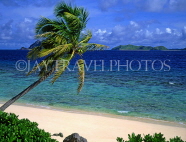 FIJI, Mamanuca Islands, Matamanoa Island, beach and coconut tree, FIJ658JPL