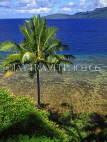 FIJI, Mamanuca Islands, Matamanoa Island, coastal view and coconut tree, FIJ662JPL