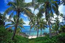 FIJI, Mamanuca Islands, Matamanoa Island, coastal view through coconut trees, FIJ857JPL