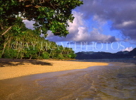 FIJI, Taveuni, Matagi (Matangi) Island, beach, coast and coconut plantation, FIJ614JPL