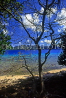 FIJI, Taveuni, Matagi (Matangi) Island, beach, seascape, view through tree, FIJ668JPL