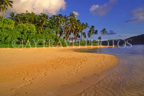 FIJI, Taveuni, Matagi (Matangi) Island, beach and coconut trees, FIJ1299JPL