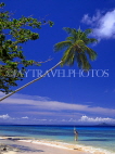 FIJI, Taveuni, Matagi (Matangi) Island, beach and leaning coconut tree, FIJ108JPL