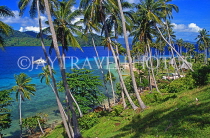 FIJI, Taveuni, Matagi (Matangi) Island, seascape through coconut trees, FIJ555JPL