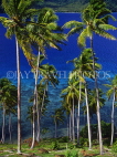 FIJI, Taveuni, Matagi (Matangi) Island, seascape through coconut trees, FIJ653JPL