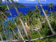 FIJI, Taveuni, Matagi (Matangi) Island, seascape through coconut trees, FIJ685JPL