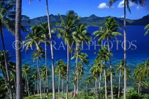 FIJI, Taveuni, Matagi (Matangi) Island, seascape through coconut trees, FIJ697JPL