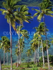 FIJI, Taveuni, Matagi (Matangi) Island, seascape through coconut trees, FIJ751JPL