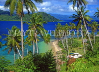 FIJI, Taveuni, Matagi (Matangi) Island, seascape through coconut trees, FIJ785JPL