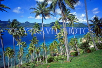 FIJI, Taveuni, Matagi (Matangi) Island, seascape through coconut trees, FIJ837JPL