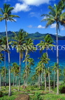 FIJI, Taveuni, Matagi (Matangi) Island, seascape through coconut trees, FIJ881JPL