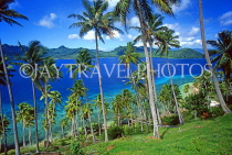 FIJI, Taveuni, Matagi (Matangi) Island, seascape through coconut trees, FIJ888JPL