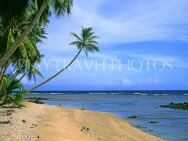FIJI, Vanua Levu, Savu Savu, Namale Plantation, beach and coconut ree, FIJ628JPL