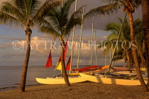 FIJI, Viti Levu, Nadi Bay, beach and sailboats, evening light, FIJ480JPL