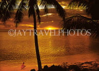 FIJI, Viti Levu, Nadi Bay area, sunset through coconut tree, FIJ930JPL