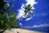 FIJI, Viti Levu, Yanuca Island, beach and coconut trees, FIJ111JPL