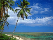 FIJI, Viti Levu Island, Coral Coast, beach, seaview, and coconut tree, FIJ791JPL