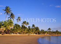 FIJI, Viti Levu Island, Coral Coast, beach and coconut trees, evening light, FIJ807JPL