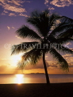 FIJI, Viti Levu Island, Coral Coast, sunset with coconut tree, FIJ630JPL