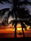 FIJI, Viti Levu Island, Coral Coast, sunset with coconut trees and hammock, FIJ1123JPL