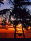 FIJI, Viti Levu Island, Coral Coast, sunset with coconut trees and hammock, FIJ748JPL
