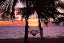 FIJI, Viti Levu Island, Coral Coast, sunset with coconut trees and hammock, FIJ979JPL
