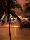 FIJI, Viti Levu Island, Nadi Bay, sunset with coconut trees, FIJ107JPL