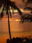 FIJI, Viti Levu Island, Nadi Bay, sunset with coconut trees, FIJ725JPL