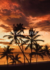 FIJI, Viti Levu Island, Nadi Bay, sunset with coconut trees, FIJ809JPL