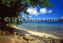 FIJI, Viti Levu Island, Yanuca Island, coast and coconut trees, FIJ819JPL