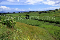 FIJI, Viti Levu Island, countryside and Sugar Cane fields, FIJ665JPL
