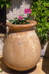 FRANCE, Languedoc-Roussillon, SETE, large storage jar with flowers, FRA516JPL