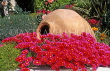 FRANCE, Languedoc-Roussillon, SETE, large storage jar with flowers, FRA518JPL
