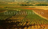 FRANCE, Languedoc-Roussillon, vineyards and autumn colours, FRA903JPL