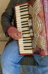 FRANCE, Provence, Cote d'Azure, NICE, street entertainer playing accordian, FRA2133JPL