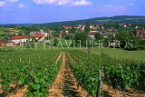 FRANCE, Rhone-Alps, BRANCOIN, village and vineyards, FRA1934JPL