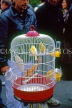 France, PARIS, Ile de la Cite, Bird Market, birds in cage, for sale, FRA2202JPL