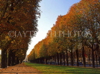 France, PARIS, tree lined street (autumn), FR2005JPL