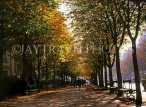 France, PARIS, tree lined street (autumn), FR2009JPL