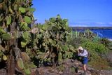 GALAPAGOS Islands, Prickly Pear Cactus trees, tourist photographing, GAL295JPL