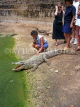 GAMBIA, Bakau Crocodile Pool and tourists, GAM856JPL