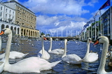 GERMANY, Hamburg, Alster Lake and swans, HAM1054JPL