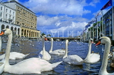 GERMANY, Hamburg, Alster Lake and swans, HAM1054JPL