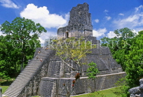 GUATEMALA, Mayan sites, TIKAL, Grand Plaza, Temple 2 (Temple of Masks), GUA253JPL