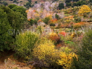 Greek Islands, CRETE, Lasithi area, autumn scenery, GIS1166JPL