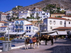 Greek Islands, HYDRA, island view and donkeys, GIS1073JPL