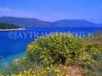 Greek Islands, KEPHALONIA, coastal view and wild flowers, GIS513JPL