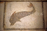 Greek Islands, KOS, Kos Town, Casa Romana ruins, dolphin mosaic, GIS1242JPL