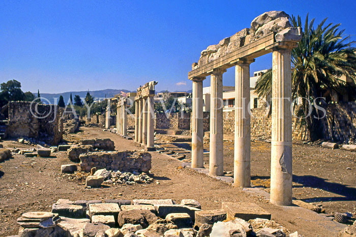 Greek Islands, KOS, Kos Town, Xysto, restored columns of Kos ancient city, GIS1134JPL