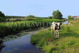 HOLLAND, Edam countryside, farmland, cow, HOL828JPL